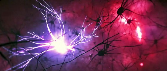 The Tomorrow Job | movie | 2023 | Official Trailer