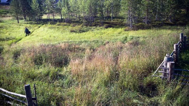 Les nuits blanches du facteur Bande-annonce (EN)