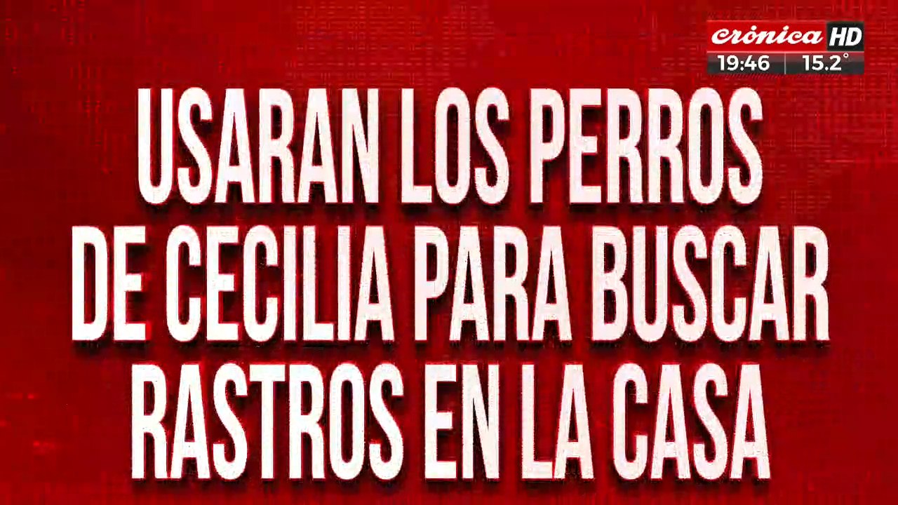 Usarán los perros de Cecilia para buscar rastros en la casa