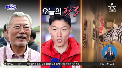 [핫플]얼룩말 ‘세로’ 여자친구 생긴 근황 공개