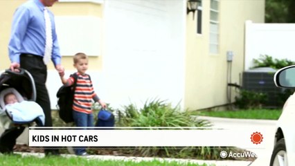 Extreme heat means serious danger for children in cars