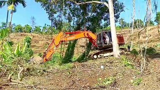 Precision Land Clearing of Hitachi Excavators in Mountain Plantations
