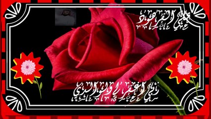 القران الكريم تلاوة تبكي القلوب