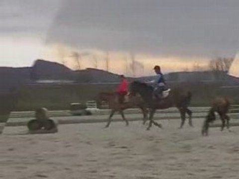 Stage Force, mars 2007