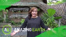 Amazing Earth: Explore the Carolina Bamboo Garden's breathtaking attractions! (Online Exclusive)