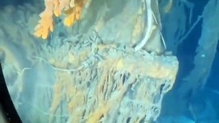 OceanGate reveals footage captured of the Titanic before the implosion!