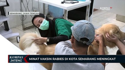 Minat Vaksin Rabies di Kota Semarang Meningkat