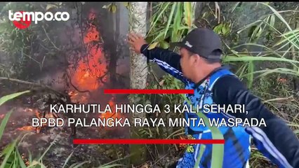 Karhutla Hingga 3 Kali Sehari, BPBD Palangka Raya Minta Warga Waspada