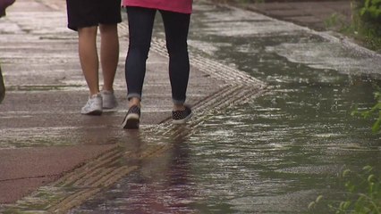 [날씨] 한낮 무더위, 현재 서울 29.2℃...내일 다시 전국 장마권 / YTN