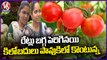 Vegetable Prices Rise Due To Short Supply | Tomatoes At Rs 100 per kg | Karimnagar | V6 News