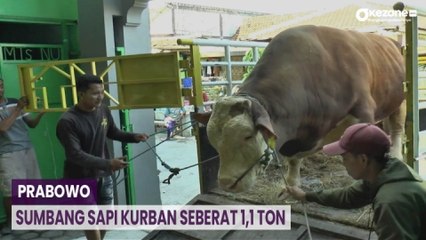 Prabowo Sumbang Sapi Kurban 1,1 Ton di Masjid Agung Demak