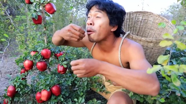 Survival in the forest - Eating apple with salt peppers - In a forest full of apples