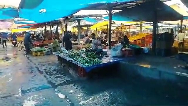 महंगाई: हरी सब्जियों के दाम ने बिगाड़ा किचन का बजट, टमाटर हुआ 'लाल', प्रति किलोग्राम 80 रुपए के पार