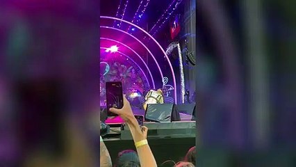 Ceneri a un concerto di Pink