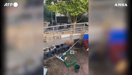 Francia, agente spara e uccide 17enne: scontri a Nanterre
