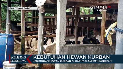 Kebutuhan Hewan Kurban Di Garut Alami Peningkatan
