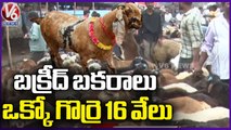 Goat Price Increases Due to Bakrid Festival | Goat Market In Hyderabad | V6 News