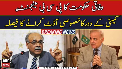 Govt decides to audit PCB’s Najam Sethi tenure