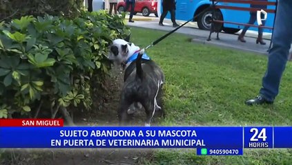 San Miguel: piden reflexionar a sujeto que abandonó a su perrito en puerta de veterinaria municipal