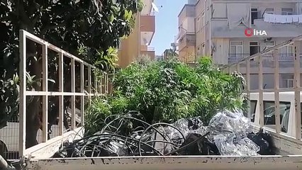 Karşılıklı İki Daireyi Aynı Anda Kiraladı, Birinde Oturdu Diğerinde Laboratuvar Kurup Uyuşturucu Yetiştirdi