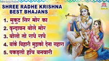 Shree Radhe Krishna Best Bhajans - Best Bhajan ~ Mridul krishna Shastri Bhajan ~ @bankeybiharimusic