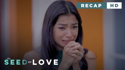 The Seed of Love: Eileen's involvement in Nelson's death (Weekly Recap HD)