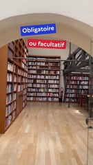 Le contrôle a priori : Comment le président peut bloquer une nouvelle loi avant sa mise en œuvre ⚖️