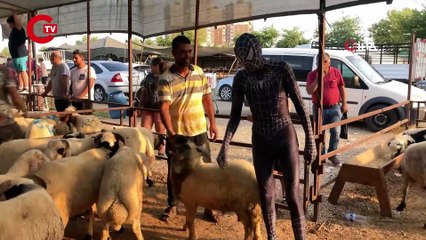 'Örümcek Adam' kurban pazarında