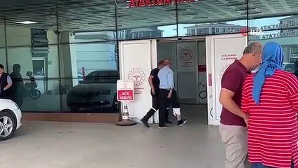 Blessé en essayant d'attraper un bélier en fuite Des bouchers novices se sont précipités vers les hôpitaux