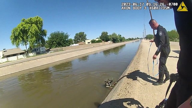 Police officers rescue dog trapped in canal using freshly-baked pumpkin muffins as bait