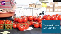 Tomato Price Rise In India: Red Vegetable Gets Costly As Prices Exceed Rs 100 Per Kg; Know Cost In Delhi, Mumbai & Other Metros