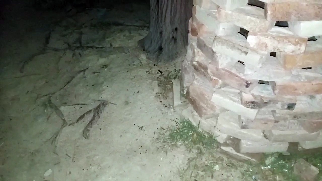 इच्छाधरी नागिन देख लीजिये