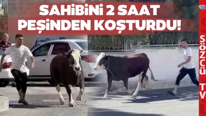 Yok Böyle Kovalamaca! Kurbanlık Boğa 2 Saat Sahiplerini Peşinden Koşturdu