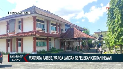 Marak Rabies, Jangan Sepelekan Gigitan Hewan, Sangat Berbahaya!