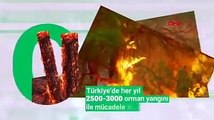 Antalya Valiliği'nden 'orman yangınları' genelgesi