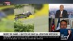 Ado tué par la police - Hervé Moreau, ancien capitaine de gendarmerie, dans « Morandini Live »: «La position du policier n'est pas normale, ça pose question sur la formation et sur l'entraînement des policiers en France» - Regardez