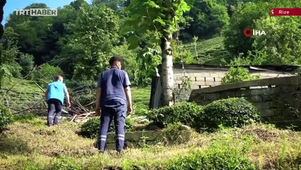 Kaçan kurbanlıklar vatandaşlara zor anlar yaşattı