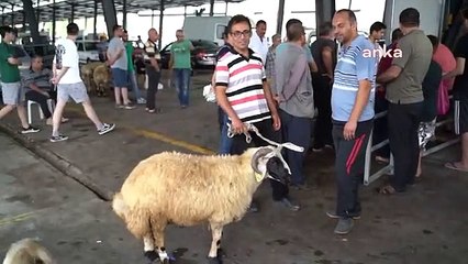 Mersin Büyükşehir Belediyesi'nden Ücretsiz Kurban Kesim Hizmeti