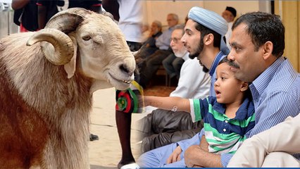 Bakrid 2023: बकरीद पर घर में पहली क़ुर्बानी किसके नाम से होती है | Pehli Qurbani Kiske Naam Se Hoti H