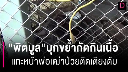 “พิตบูล”บุกขย้ำกัดกินเนื้อ แทะหน้าพ่อเฒ่าวัย78ป่วยติดเตียงดับสลด | HOTSHOT เดลินิวส์ 28/06/66