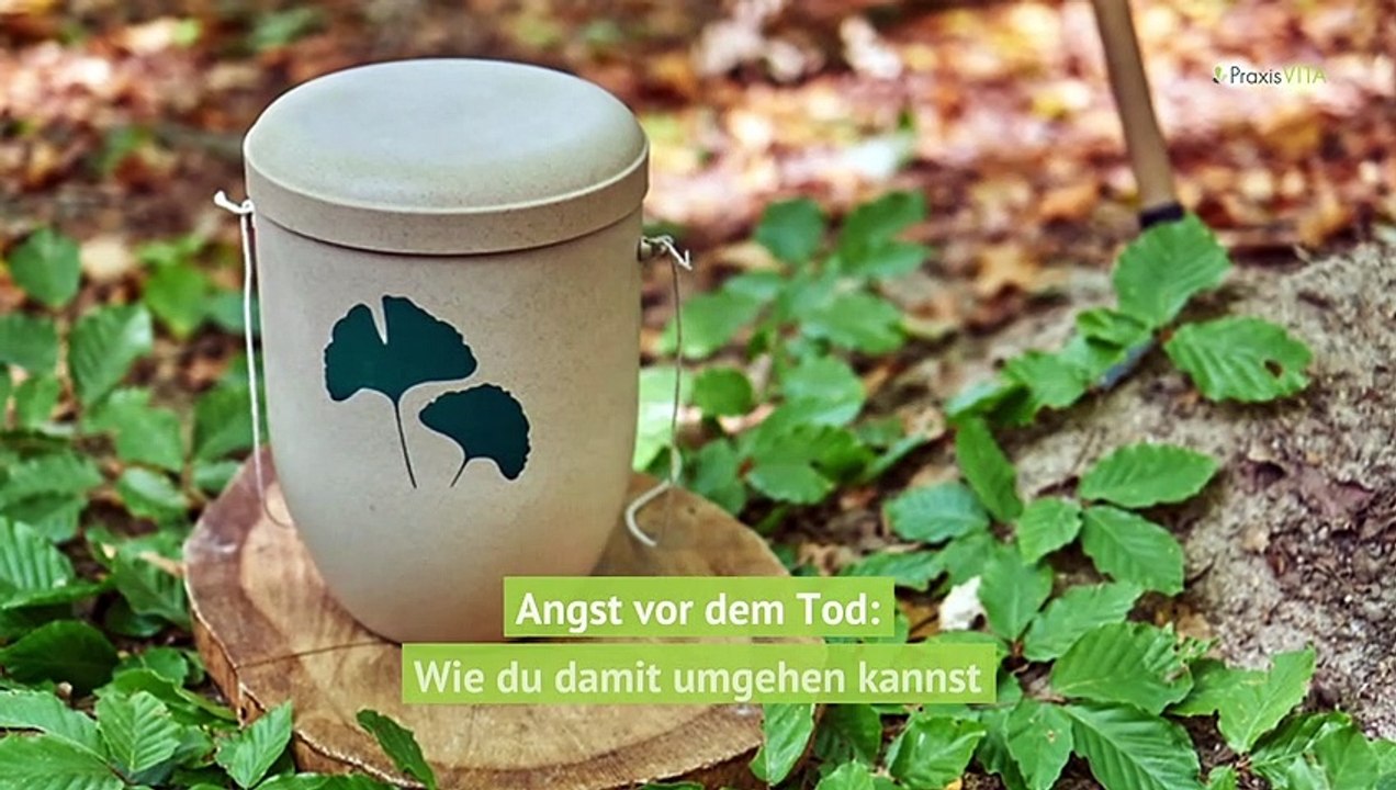 Cute | #Angst vor dem #Tod Wie gehe ich damit um