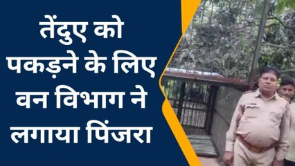 अमरोहा: तेंदुए को पकड़ने के लिए वन विभाग ने लगाया पिंजरा,डर के साए में हैं ग्रामीण