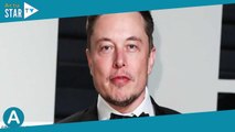 Elon Musk défie Mark Zuckerberg : les deux stars ont commencé leur entraînement pour combattre