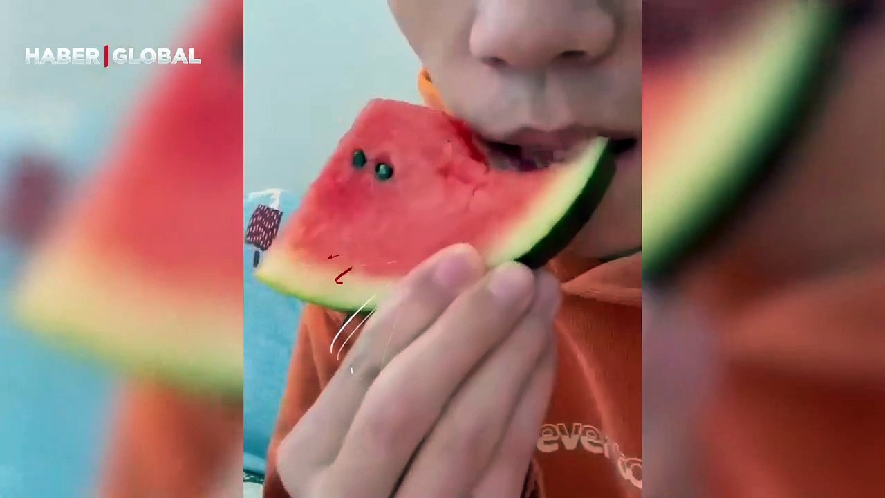 Büyük bir iştahla yedi... Karpuz yiyen kedinin çıkardığı sesler sosyal medyada viral oldu