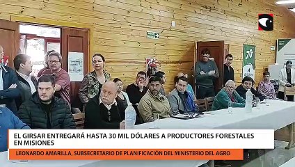 El girsar entregará hasta 30 mil dólares a productores forestales en misiones