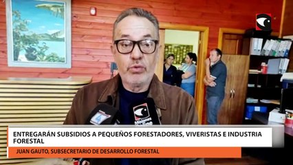 Entregarán subsidios a pequeños forestadores, viveristas e industria forestal