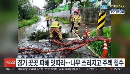 경기 곳곳 피해 잇따라…나무 쓰러지고 주택 침수