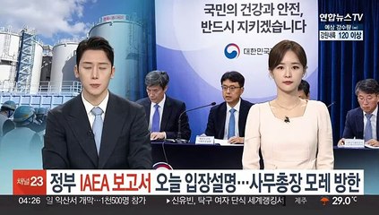 Tải video: 정부 'IAEA 보고서' 입장 오늘 설명…사무총장은 7일 방한