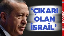‘Türkiye’nin Politikası İsrail’i Destekliyor’ Türkiye’nin Sığınmacı Deposu Olmasına Çarpıcı Analiz!