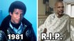 HILL STREET BLUES (1981-1987) Cast THEN AND NOW 2023, All the cast members died tragically!!